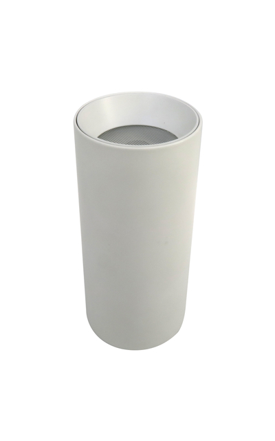 LED Surface Mounted Downlight LT6901