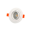 Adjustable Spotlight Downlight Ceiling Light LT1314