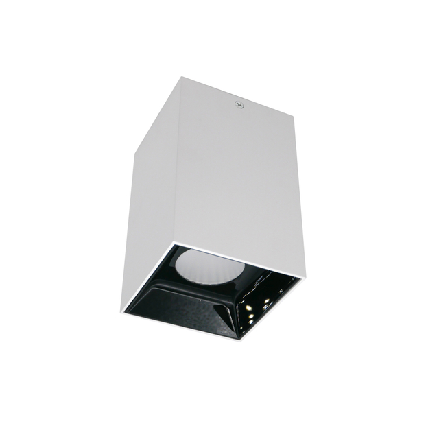 Surface Mounted Downlight LT6703-20W