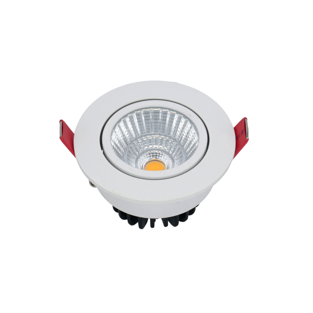 Adjustable Recessed LED Downlight LT6100