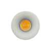 Spotlight Downlight LT6168