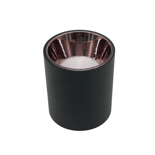  Round Surface Mounted Downlight LT6700-10W