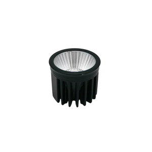 High Power 7W/10W/15W COB LED Bulb Module Downlight Spotlight