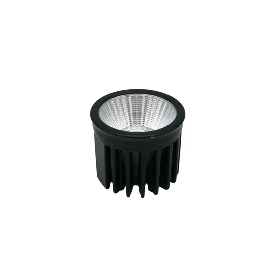 High Power 7W/10W/15W COB LED Bulb Module Downlight Spotlight