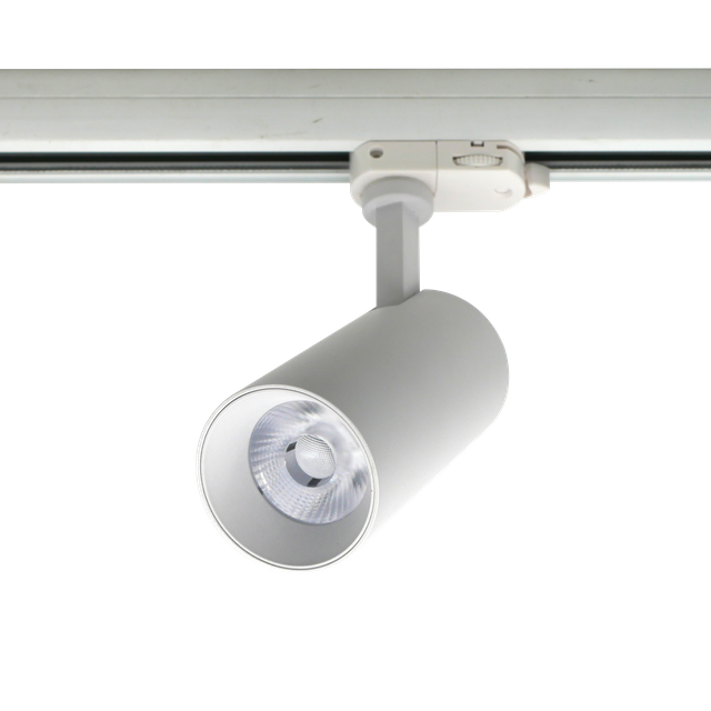 Adjustable Ceiling Light Spotlight Track Light LT6662-EX-CCT