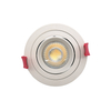 Adjustable Ceiling Light Downlight Spotlight Fixture LT2314B