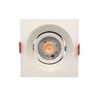 Ceiling Light Downlight Adjustable Spotlight LT2231B