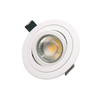 Adjustable Ceiling Light Spotlight Downlight LT2310